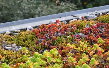 the cost of Aldrington green roof installation