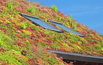 Aldrington living roof systems